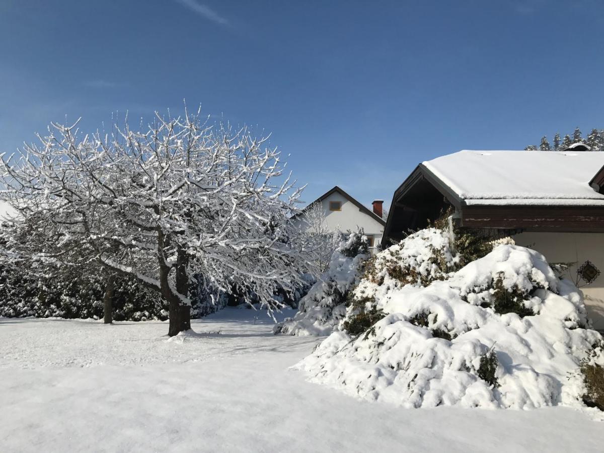 V Gemuetliches Gartenhaus Smihel nad Pliberkom Εξωτερικό φωτογραφία