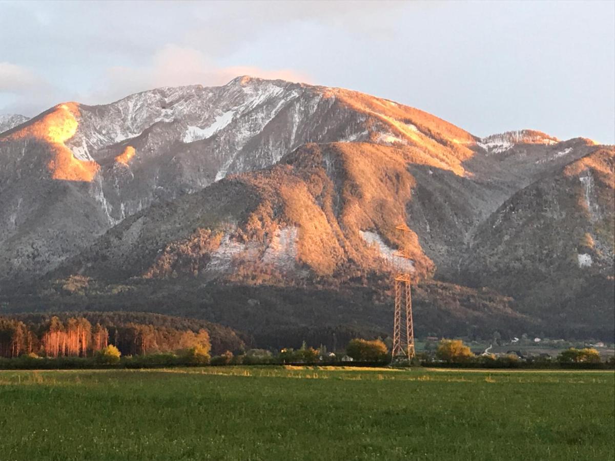 V Gemuetliches Gartenhaus Smihel nad Pliberkom Εξωτερικό φωτογραφία