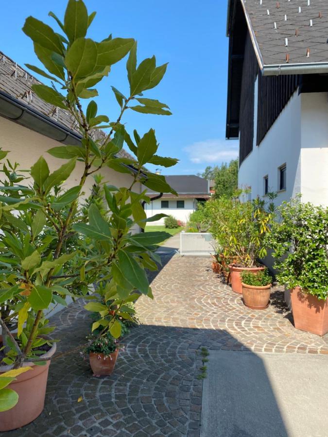 V Gemuetliches Gartenhaus Smihel nad Pliberkom Εξωτερικό φωτογραφία