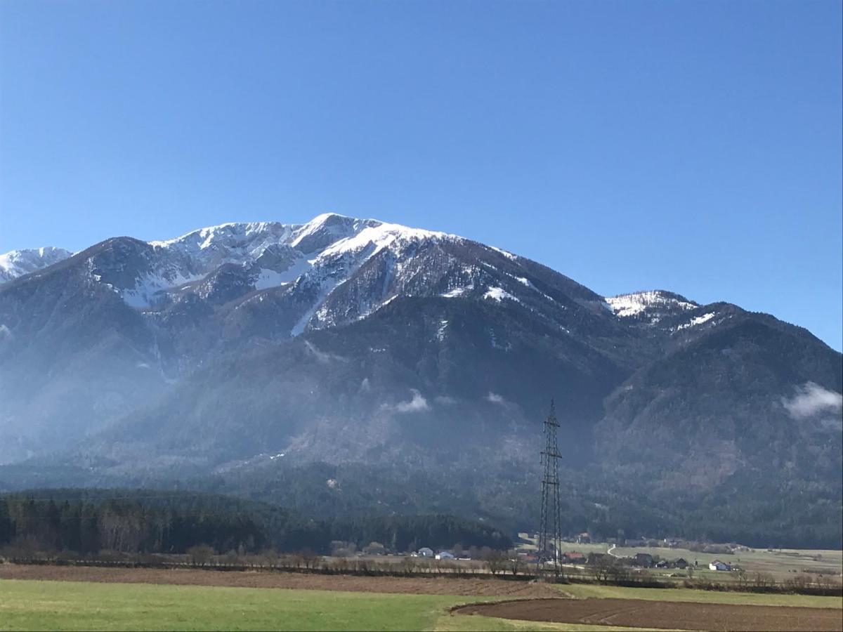 V Gemuetliches Gartenhaus Smihel nad Pliberkom Εξωτερικό φωτογραφία